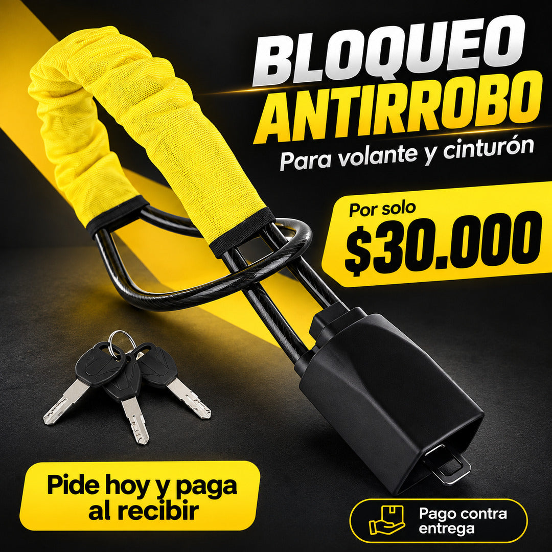 bloqueo antirrobo guaya