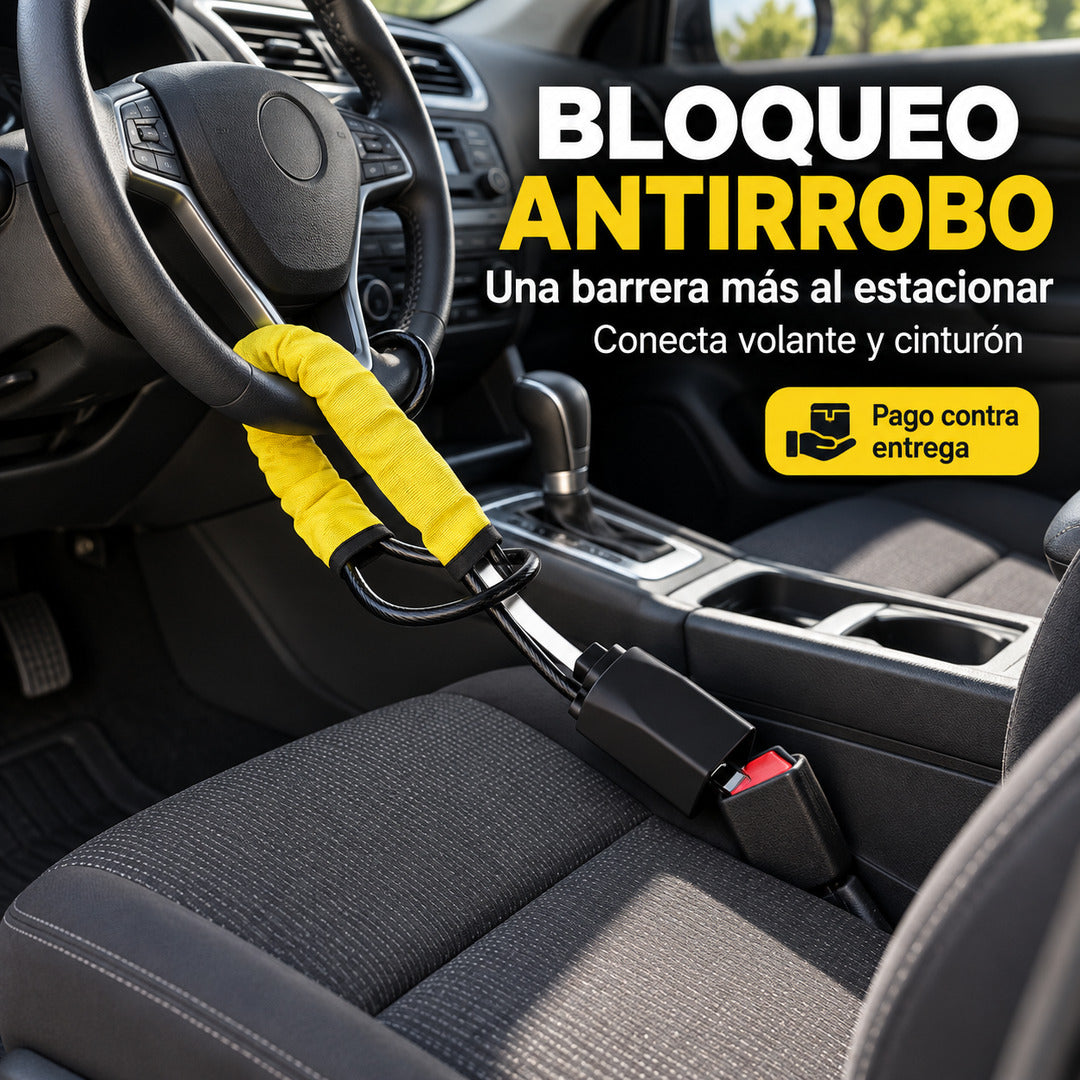 bloqueo antirrobo guaya